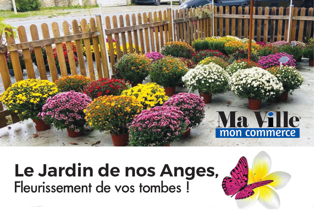 Le Jardin de nos Anges, Vente de Chrysanthèmes !