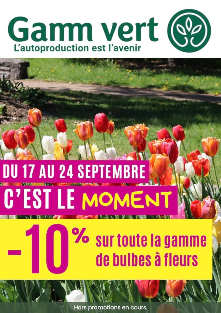 Ma Ville, Mon Commerce Vals de Saintonge